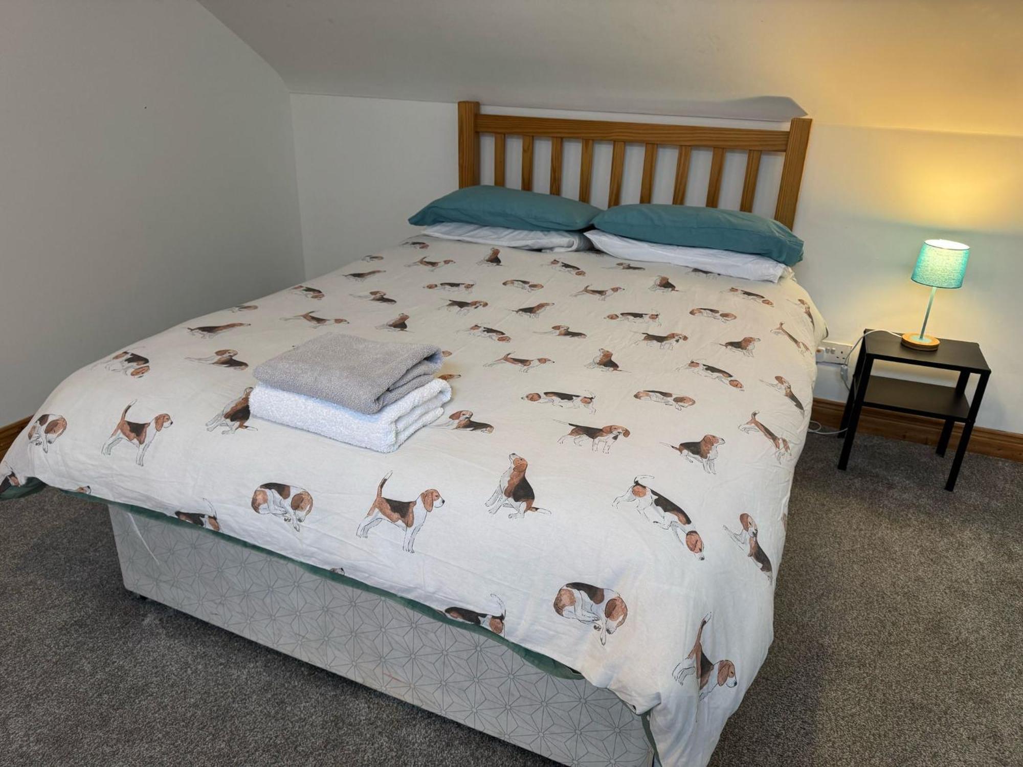 Lovely 2 Bedroom House Close To City Centre 贝尔法斯特 外观 照片