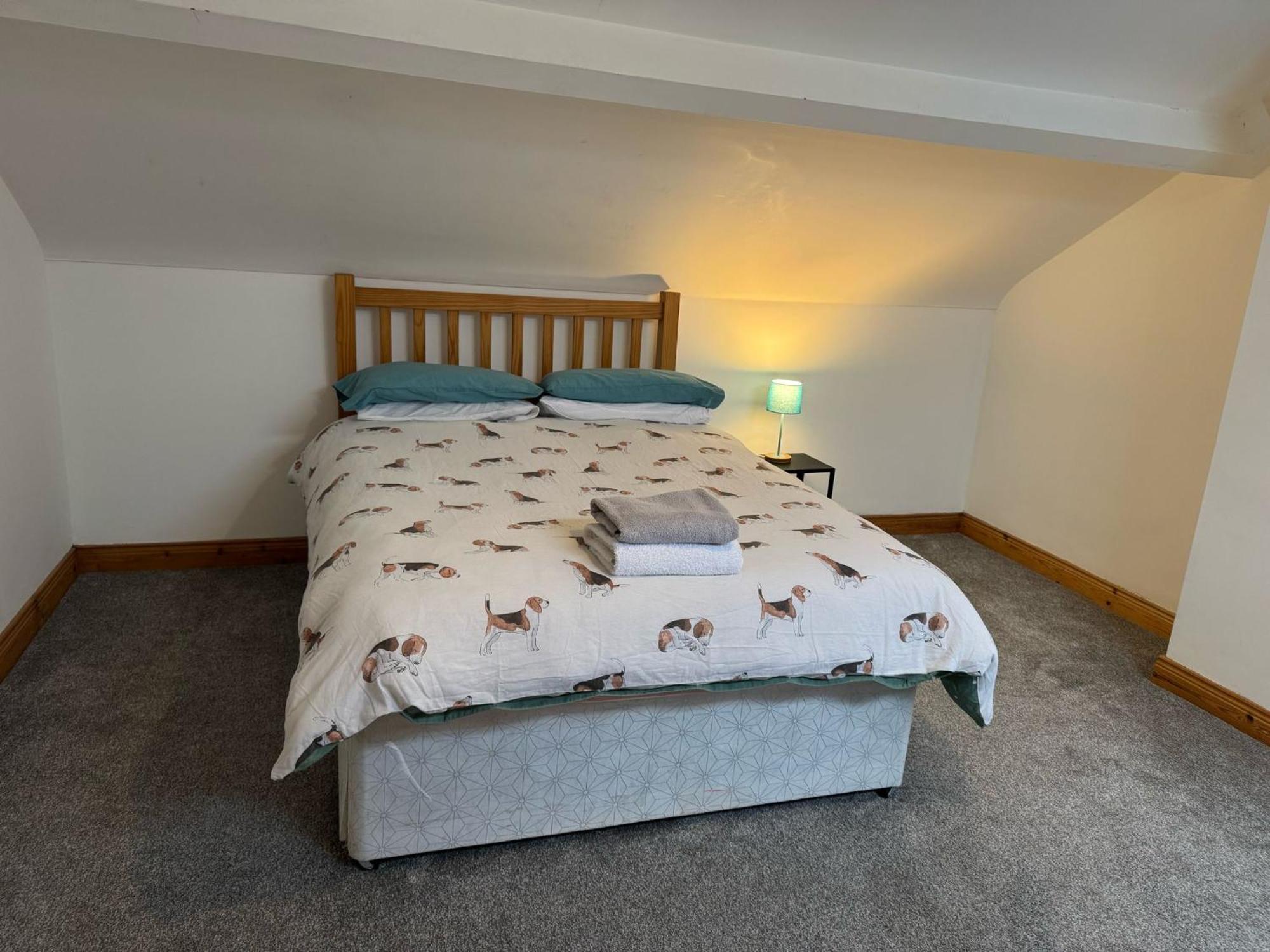 Lovely 2 Bedroom House Close To City Centre 贝尔法斯特 外观 照片